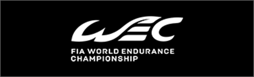 FIA WORLD ENDURANC <br>CHAMPIONSHIP